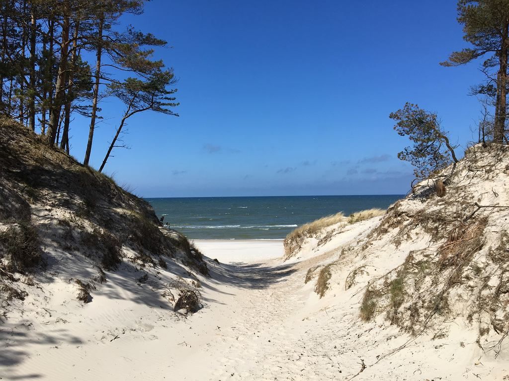 Taras widokowy na Górze Rowskiej