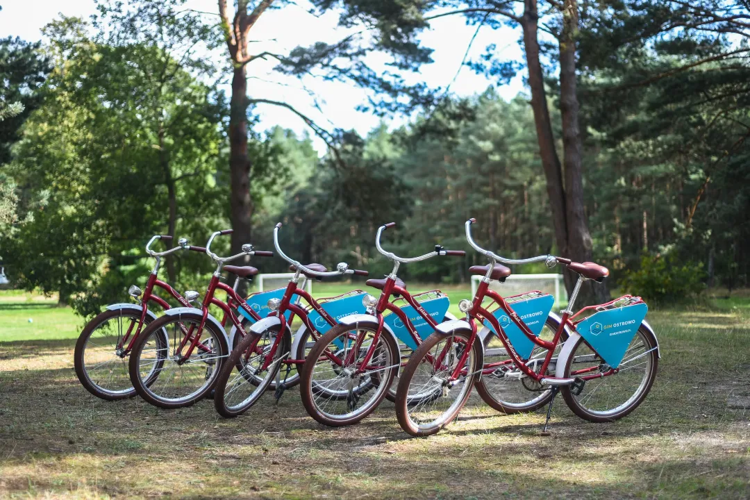 Taras widokowy na kopalnię kredy