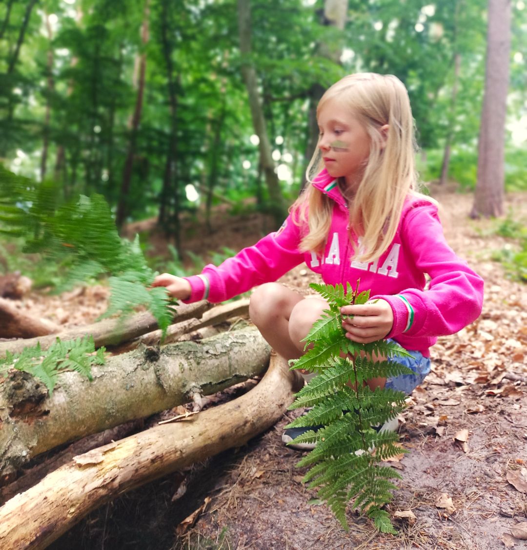 Taras widokowy na Górze Rowskiej