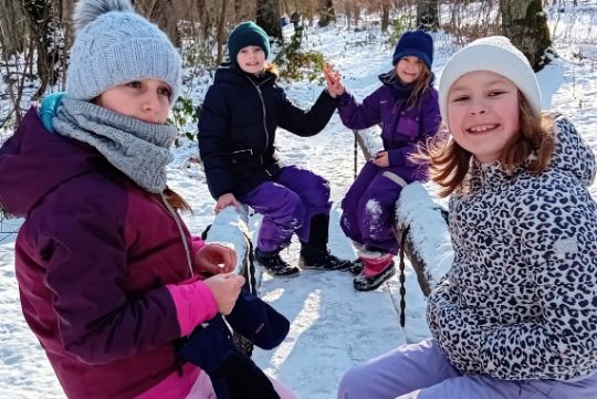 Program porozumienia bez przemocy