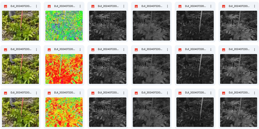 Weryfikacja szerokiego gama spektrum obrazowań w celu znalezienia powtarzalnych schematów rozpoznawania anomalii.