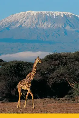 Kilimandżaro, Wycieczka Tanzania