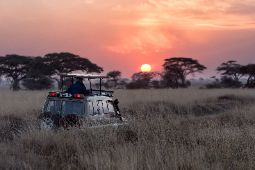 Samochód na safari, Botswana