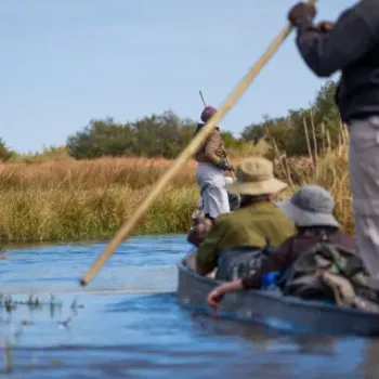 Spływ mokoro w Delcie Okawango w Botswanie