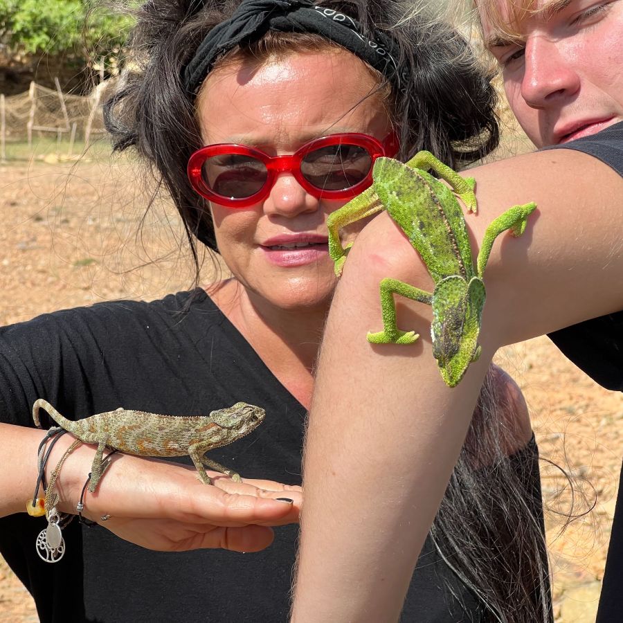 Wyprawa na Sokotrę, Jemen