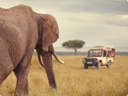 Kobieta stojąca na tarasie lodge patrząca na zachód słońca. Przed nią basen i podcienia lodge w Namibii.