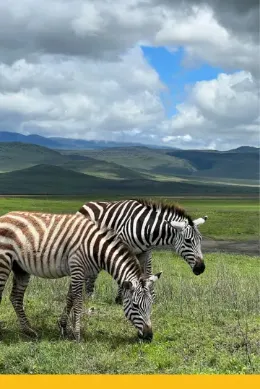 Safari, Wycieczka Tanzania