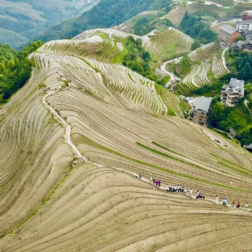 Grzbiet smoka, Chiny