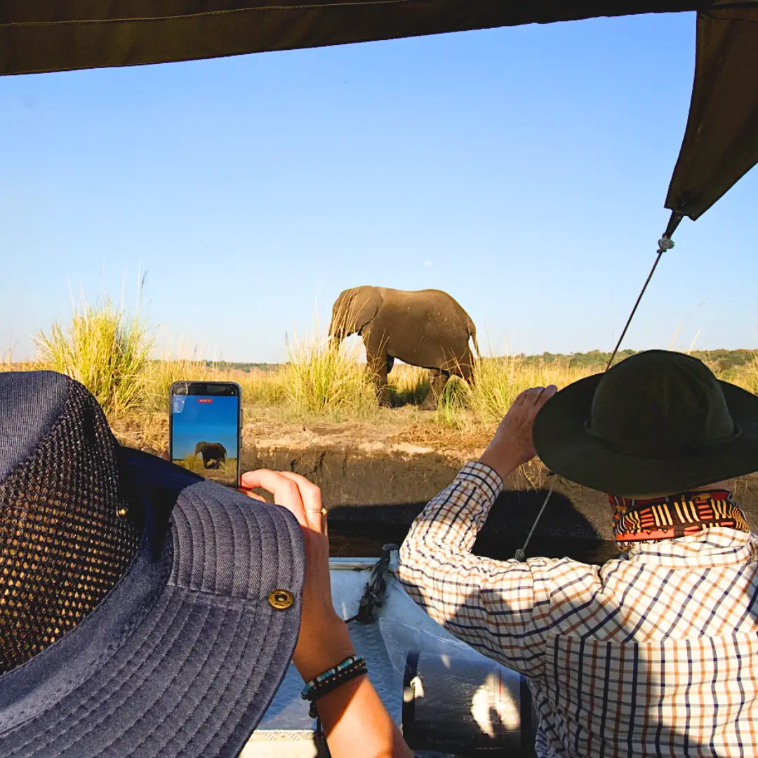 Słonie widziane z łodzi, Chobe, Botswana
