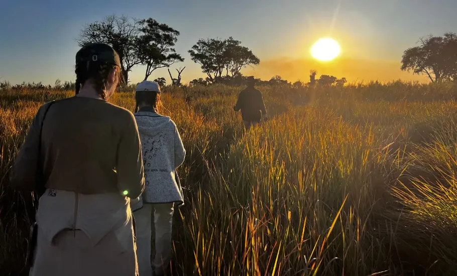 Turyści w czasie pieszego safari w Delcie Okawango w Botswanie