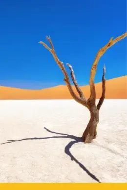 martwa-dolina-Namibia