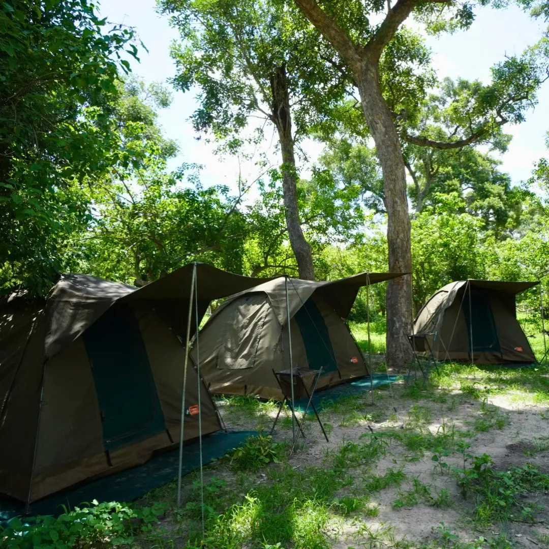 Namioty na biwaku outventure.life, Moremi, Botswana