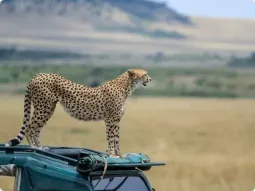 Czerwony samochód terenowy 4x4 na wydmach Sandwich Harbour w Namibii, w miejscu gdzie pustynia Namib spotyka Ocean Atlantycki.