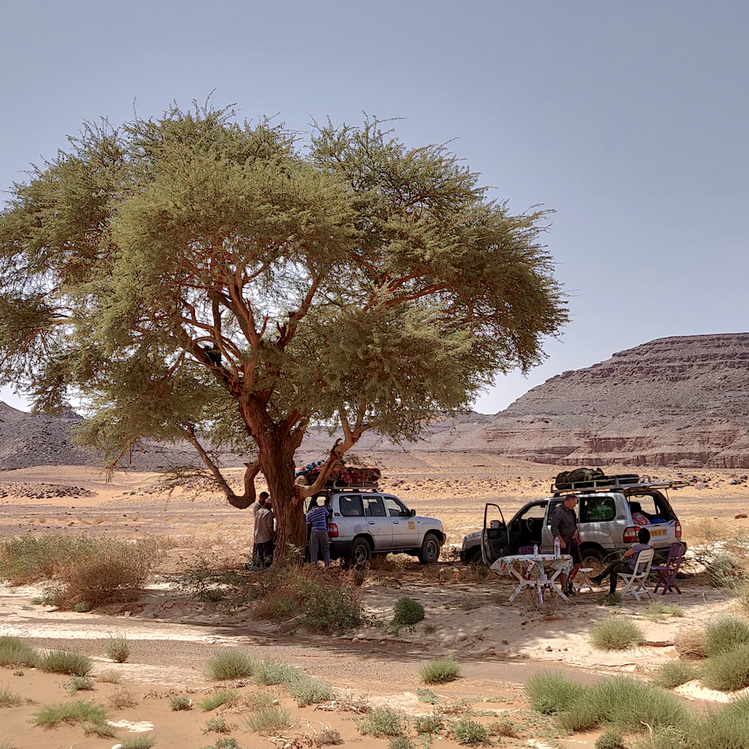 Wyprawa na Saharę, Algieria
