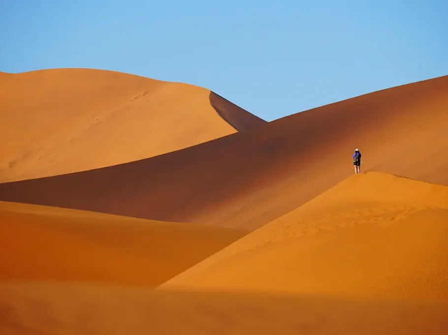 Rozległy, pustynny krajobraz Sossusvlei. Centralną część zajmuje płaska, białoszara powierzchnia wyschniętego bagniska (pan), popękana od słońca. Wokół niej wznoszą się monumentalne, rdzawo-pomarańczowe wydmy o ostrych graniach, które tworzą naturalny amfiteatr. U podnóża wydm rosną rzadkie, zielone krzewy i drzewa akacji, a nad całością rozpościera się głęboki błękit nieba.