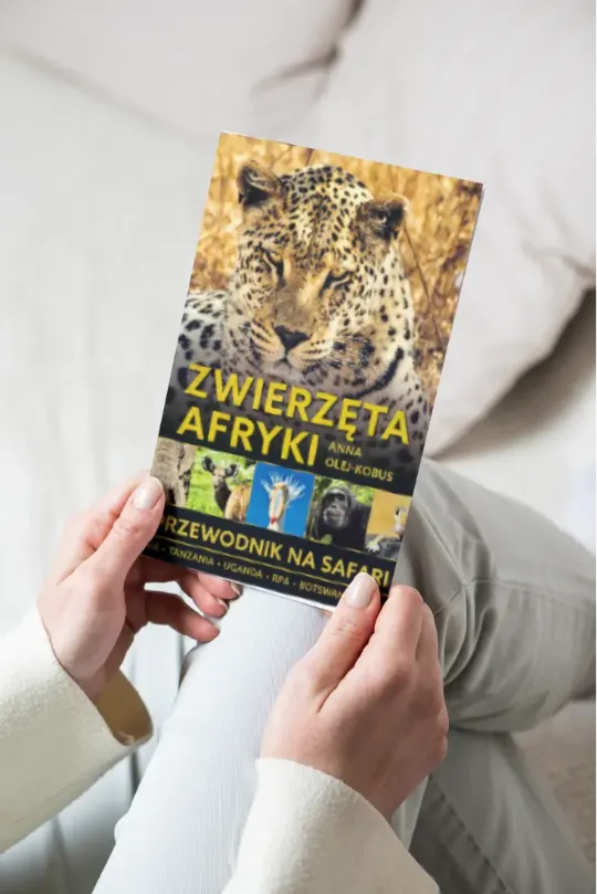 Książka Zwierzęta Afryki. Przewodnik na safari. Anny Olej - Kobus
