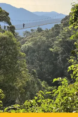 Nyungwe, wycieczka Rwanda