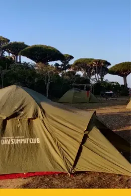 Namioty biwaku outventure.life w lesie smoczych drzew w czasie wyprawy na Sokotrę