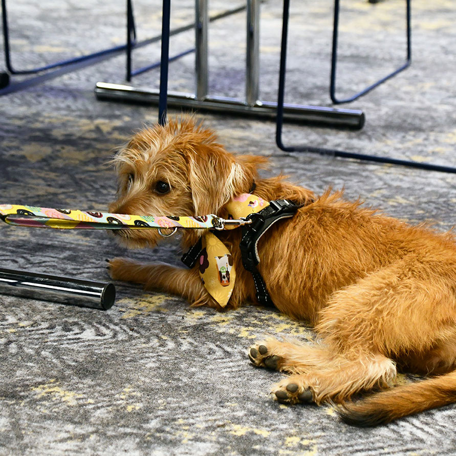 po konferencji wspólny czas na kawę, herbatę i rozmowy