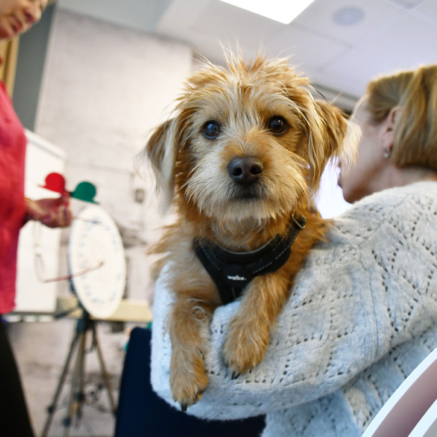 po konferencji wspólny czas na kawę, herbatę i rozmowy