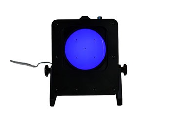 koordynator plamkowy test 5 kropek