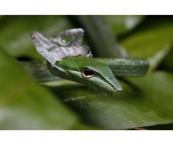 #tantra #masażtantryczny #tantricmassage #poczucie winy