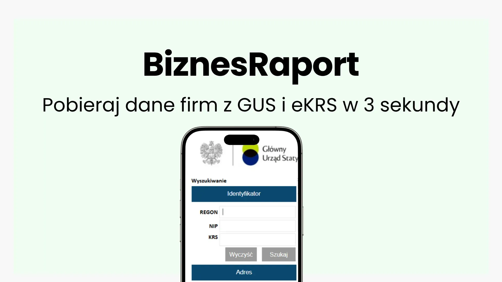 biznes raport