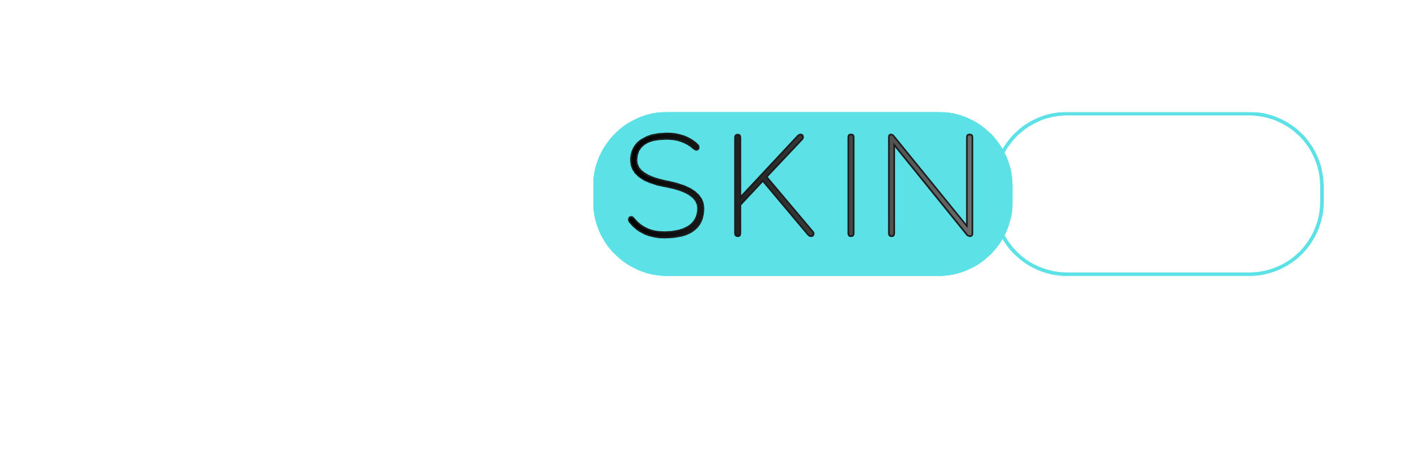 VisioSkin270 logo