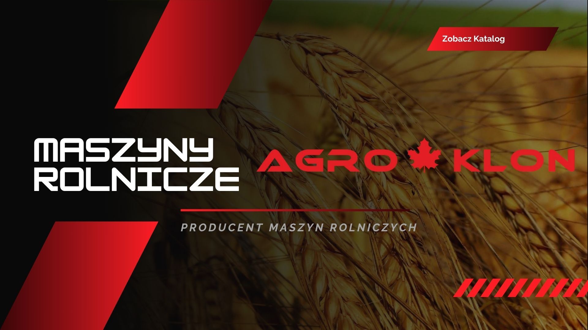 Minimalna szerokość obrazu 1040px